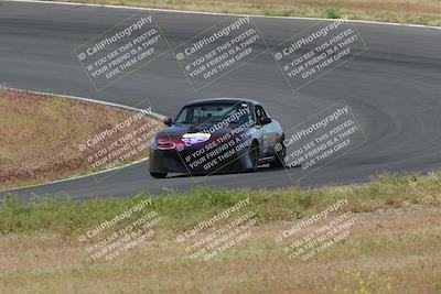 media/May-04-2024-Lucky Dog Racing (Sat) [[d39539b3f3]]/Race Pics/1015am (Turn 2)/